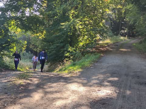 Lesní úsek trati – Staroměstský zvonkáč 2025